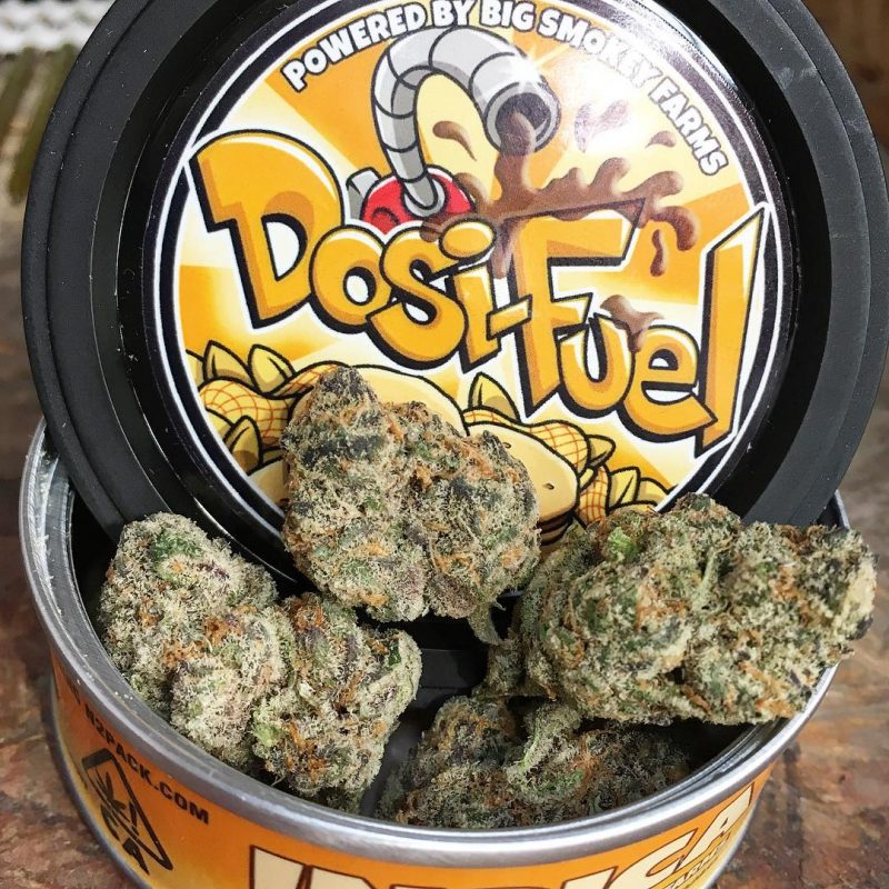 Dosi strain