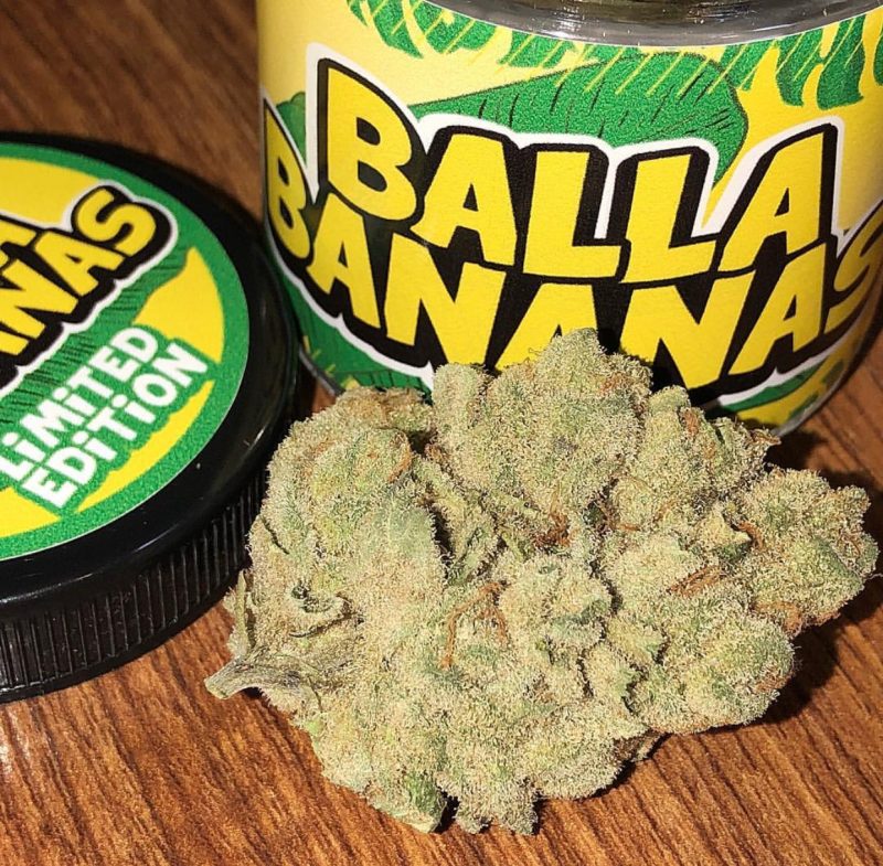 BANANA RUNTZ STRAIN