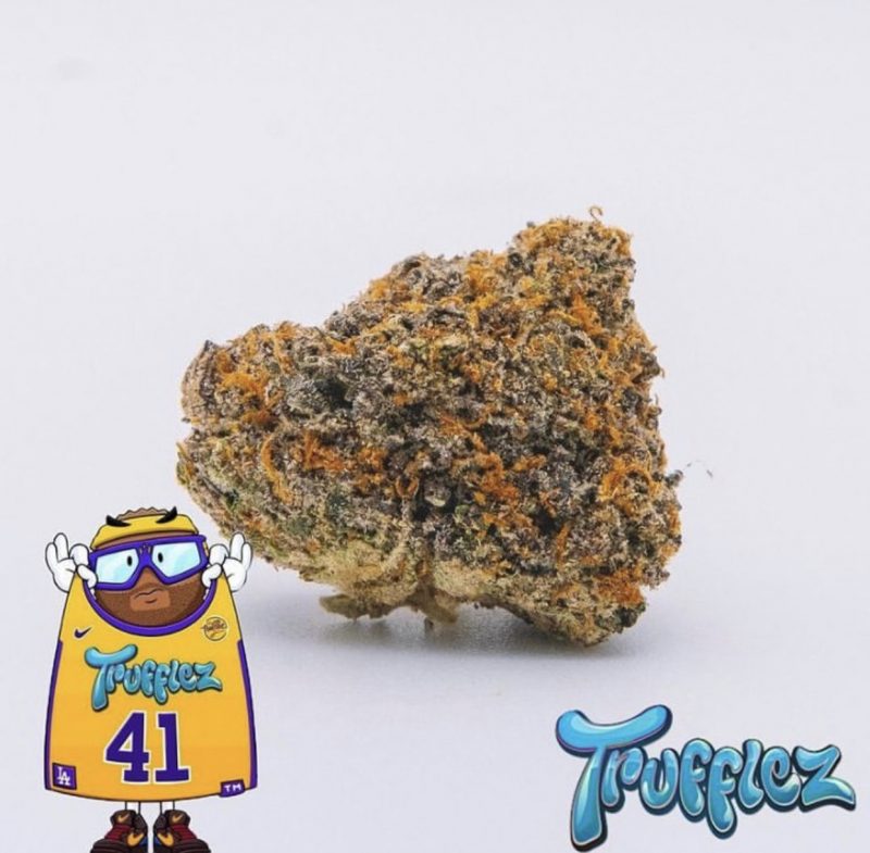 TRUFFLEZ 41 STRAIN FOR SALE